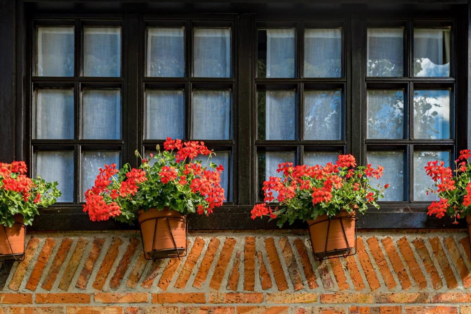 La Posada De Langre Langre  Kültér fotó